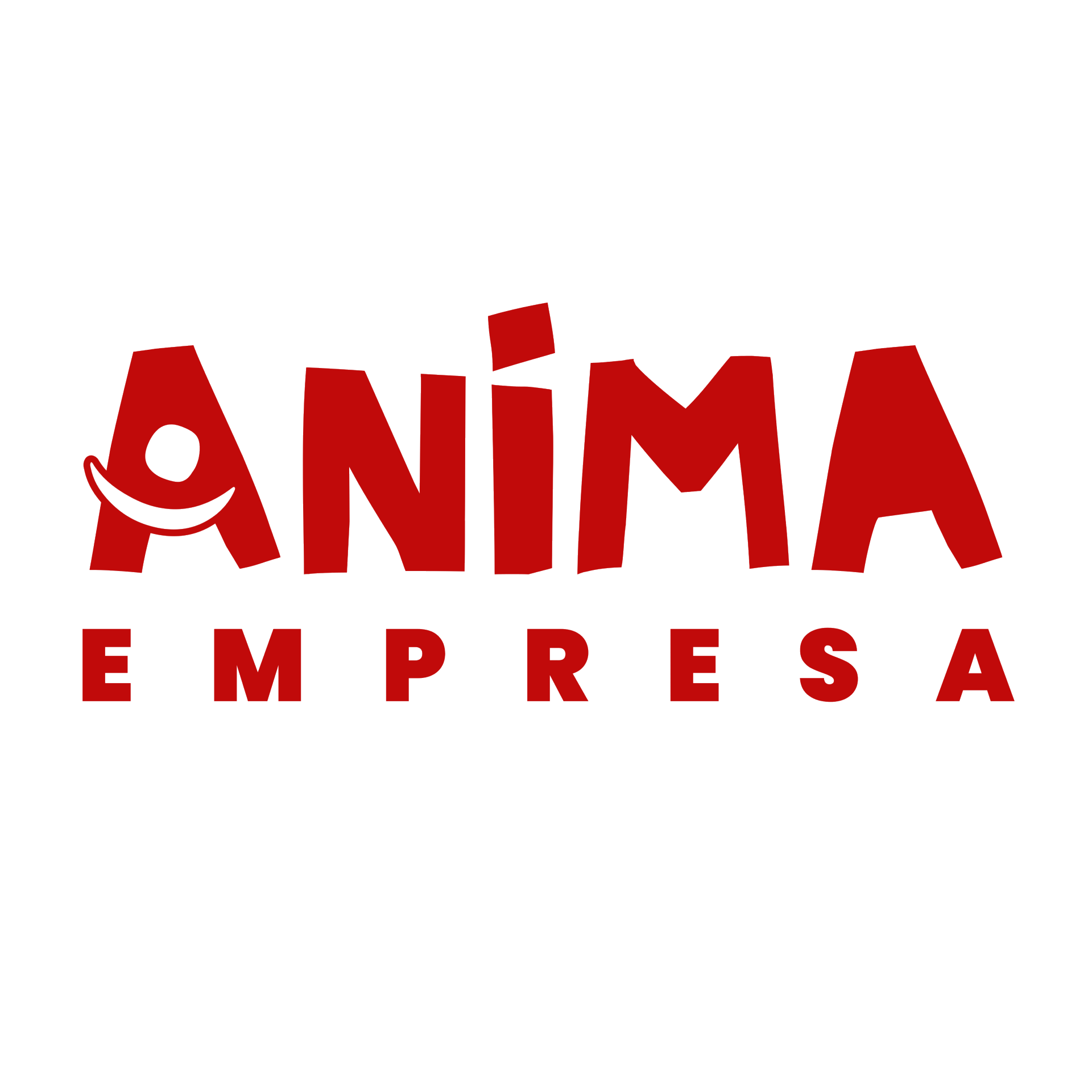 Anima Empresa